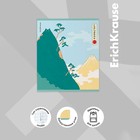 Тетрадь 48 листов в клетку ErichKrause "Найди кота", матовая ламинация, обложка мелованный картон, блок офсет, микс (комплект 5 шт) - фото 26145223