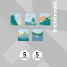 Тетрадь 48 листов в клетку ErichKrause "Найди кота", матовая ламинация, обложка мелованный картон, блок офсет, микс (комплект 5 шт) - фото 26145220