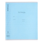 Тетрадь 12 листов в косую линейку, ErichKrause CoverPro, пластиковая обложка, МИКС - Фото 10