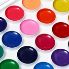 Акварель 24 цвета, ErichKrause Safari, с УФ защитой яркости, в пластиковой коробке, с европодвесом - Фото 8