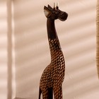 Сувенир дерево "Жираф Пятнышко" 60х14,5х8,5 см - Фото 6