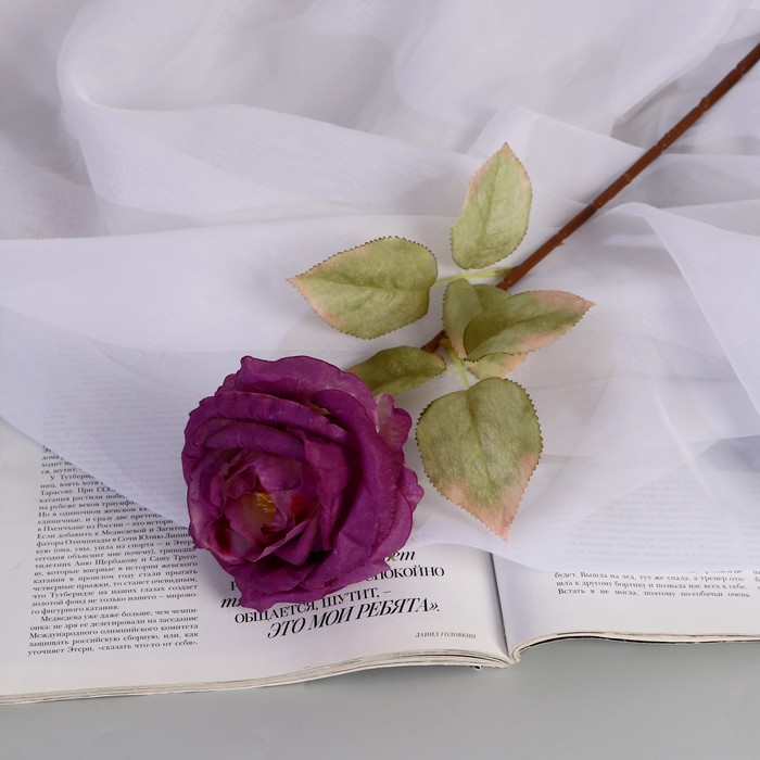 Цветы искусственные "Роза шёлк" d-10 см 45 см, сиреневый - Фото 1