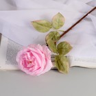Цветы искусственные "Роза шёлк" d-10 см 45 см, розовый - фото 321211632