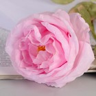 Цветы искусственные "Роза шёлк" d-10 см 45 см, розовый - Фото 2