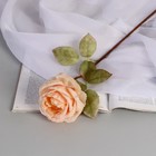 Цветы искусственные "Роза шёлк" d-10 см 45 см, кремовый - фото 297725056