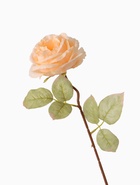 Цветы искусственные "Роза шёлк" d-10 см 45 см, кремовый - фото 809176205