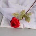 Цветы искусственные "Роза шёлк" d-10 см 45 см, красный - фото 3350175