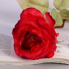 Цветы искусственные "Роза шёлк" d-10 см 45 см, красный - Фото 2
