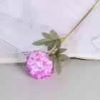 Цветы искусственные «Гортензия галант», h=43 см, d=7 см, сиреневые - Фото 2