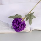 Цветы искусственные "Гортензия галант" d-7 см 43 см, фиолетовый - фото 12273247