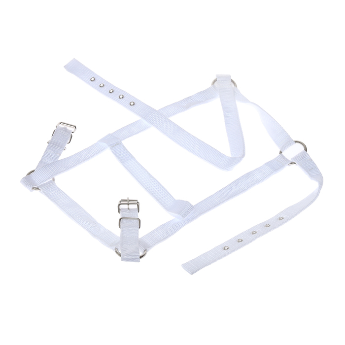 Недоуздок из нейлона, регулируемый размер, белый - Фото 1