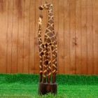 Сувенир дерево "Два сетчатых жирафа" 100х19х10 см - фото 2042444