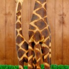 Сувенир дерево "Два сетчатых жирафа" 100х19х10 см - Фото 6