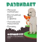 Игровой набор в коробке «Собаки декоративные» - фото 4503571