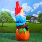 Садовая фигура "Гном на апельсине" 22х28х54см - Фото 4