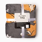 Плед Festeval Spitz 150х200см, серый, микрофибра 190г/м, пэ 100% - фото 807345636 Плед Festeval Spitz 150х200см, серый, микрофибра 190г/м, пэ 100% - фото 807345636