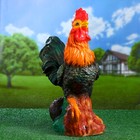 Садовая фигура "Петух" 19х40х50см - Фото 1