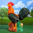 Садовая фигура "Петух" 19х40х50см - Фото 2
