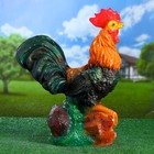 Садовая фигура "Петух" 19х40х50см - Фото 4