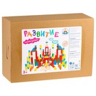 Уценка Конструктор «Развитие», 163 д. НСК-03 10392269