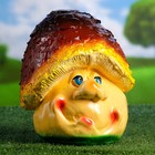 Садовая фигура "Гриб" глазастый 18х24х24см - Фото 1