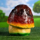 Садовая фигура "Гриб" глазастый 18х24х24см - Фото 3