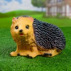 Садовая фигура "Ёж с вытянутой лапкой" 19х23х17см - Фото 1