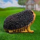 Садовая фигура "Ёж с вытянутой лапкой" 19х23х17см - Фото 3