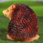 Садовая фигура "Ёж с вытянутой лапкой" 19х23х17см - Фото 6