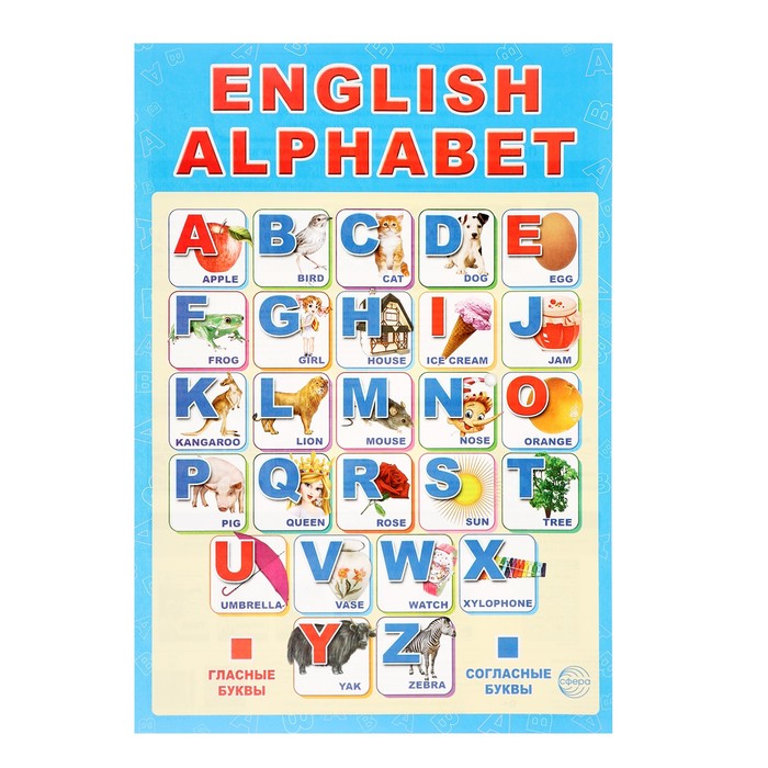 Плакат  "Английский алфавит" синий фон, А3 - Фото 1