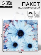 Пакет «Дарси», полиэтиленовый с петлевой ручкой, 37×34 см, 70 мкм - Фото 1