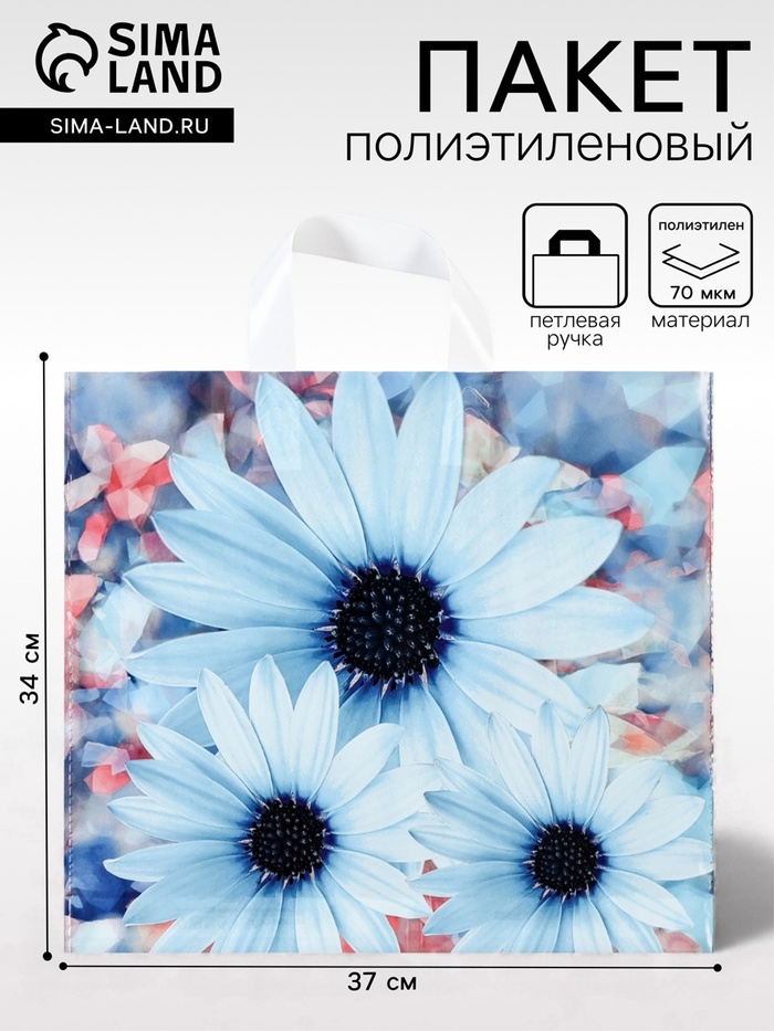 Пакет «Дарси», полиэтиленовый с петлевой ручкой, 37×34 см, 70 мкм - Фото 1