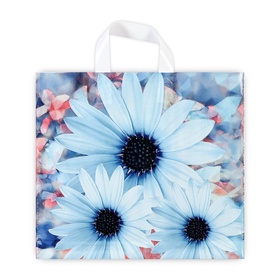 Пакет «Дарси», полиэтиленовый с петлевой ручкой, 37?34 см, 70 мкм (комплект 50 шт)