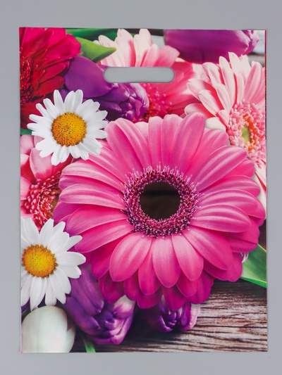 Пакет «Ароматная палитра», полиэтиленовый с вырубной ручкой 31×40 см, 60 мкм