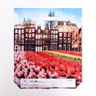 Пакет "Весна в городе", полиэтиленовый с вырубной ручкой, 38х45 см, 60 мкм - Фото 2