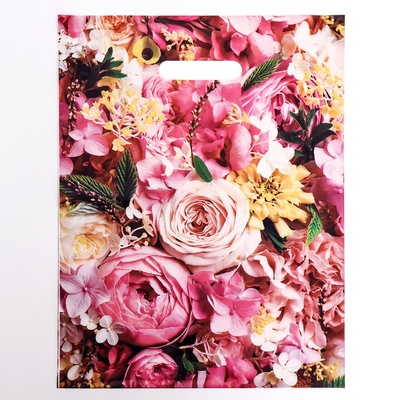 Пакет «Элизабет», полиэтиленовый с вырубной ручкой 31×40 см, 60 мкм