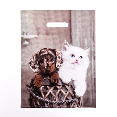 Пакет «Пушистая парочка», полиэтиленовый с вырубной ручкой 31×40 см, 60 мкм