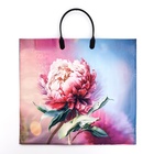 Пакет «Сандра», полиэтиленовый с пластиковой ручкой, 37×34 см, 90 мкм - Фото 1