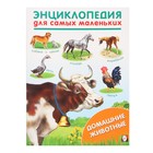 Энциклопедия для самых маленьких «Домашние животные» - фото 321399464