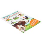 Энциклопедия для самых маленьких «Домашние животные» - фото 24510618