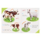 Энциклопедия для самых маленьких «Домашние животные» - фото 24510619