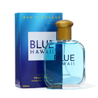 Парфюмерная вода мужская Men's Voyage Blue Hawaii, 100 мл (по мотивам Blue Seduction (A.Banderas) - фото 3928391