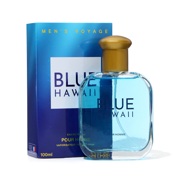 Парфюмерная вода мужская Men's Voyage Blue Hawaii, 100 мл (по мотивам Blue Seduction (A.Banderas)