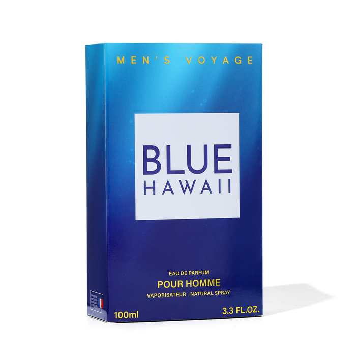 Парфюмерная вода мужская Men's Voyage Blue Hawaii, 100 мл (по мотивам Blue Seduction (A.Banderas)