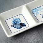 Менажница керамическая Дорого внимание «Море», 13,8 х 7 см - Фото 3