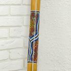 Сувенирный музыкальный инструмент "Диджериду" 120х6х6 см МИКС - Фото 8