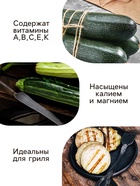 Семена Кабачок цукини "Зебра", 2 г - Фото 3