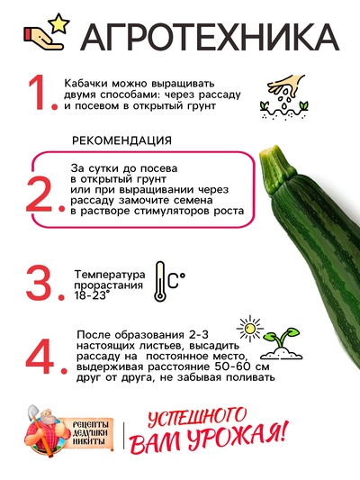 Семена Кабачок цукини «Зебра», 2 г, раннеспелый, «Рецепты дедушки Никиты»
