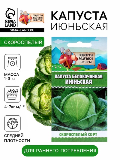 Семена Капуста белокочанная «Июньская», 0.5 г, скороспелая, «Рецепты дедушки Никиты»
