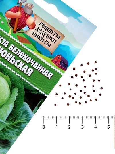 Семена Капуста белокочанная «Июньская», 0.5 г, скороспелая, «Рецепты дедушки Никиты»